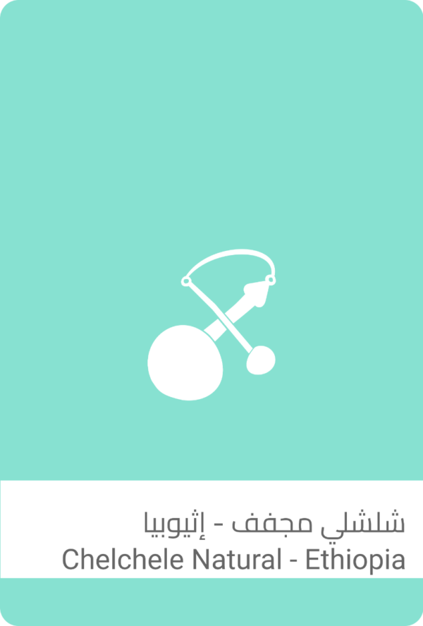 شلشلي مجفف - إثيوبيا