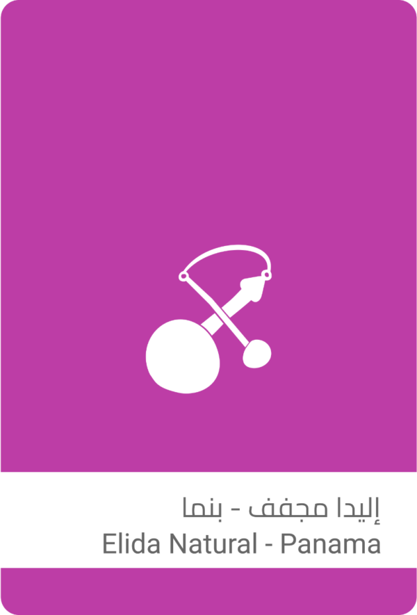 اليدا مجفف #11